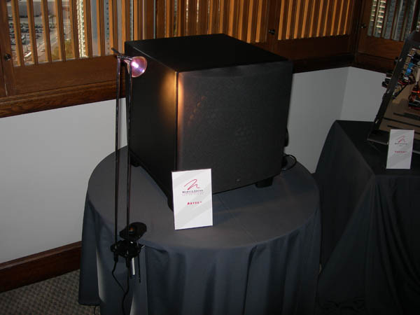 MARTINLOGAN4